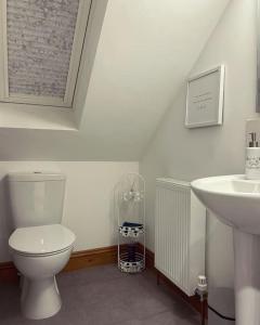 a bathroom with a toilet and a sink at The Loft - beautiful countryside apartment in Cullompton