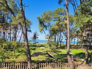 a view of the ocean from a park with trees at beachfront apartments ,,kapro-one,, in Ureki