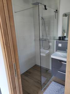 a bathroom with a shower and a sink at Ferienwohnung Morgensonne in Bad Feilnbach