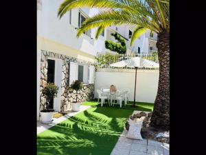 Un patio verde con una palmera y una casa. en Casinha da Palmeira, en Nazaré
