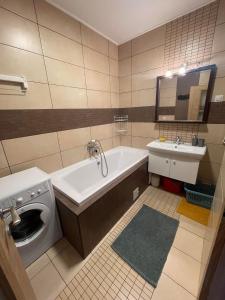 La salle de bains est pourvue d'un lave-linge et d'un lavabo. dans l'établissement Luceafarul Property, à Oradea
