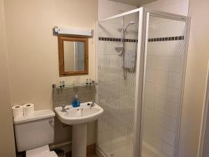 uma casa de banho com um WC, um lavatório e um chuveiro em The Bullshead, Arthingworth House B&B em Market Harborough