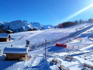 冬のAppartement La Toussuire, 3 pièces, 6 personnes - FR-1-417-37の様子