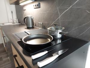 Kuchyň nebo kuchyňský kout v ubytování Apartmány Paseky - Jablonec nad Nisou