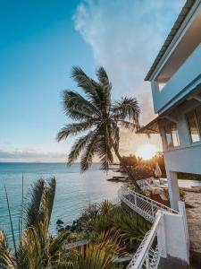a house on the beach with a palm tree and the ocean at BEACH VILLA ROCCA in Grand Gaube