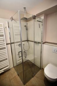 a glass shower in a bathroom with a toilet at Seepferdchen Suite in Timmendorfer Strand