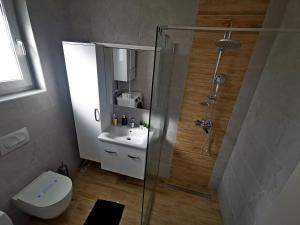 een badkamer met een douche, een toilet en een wastafel bij GOLDEN - self CHECK IN in Osijek