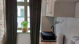 Kuchnia lub aneks kuchenny w obiekcie Apartamenty KB Toruń