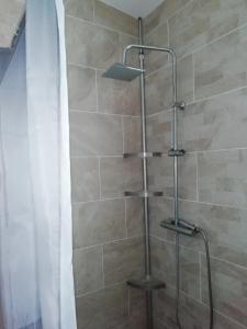 y baño con ducha y cortina de ducha. en Loarive, en Saint-Gilles-les-Bains