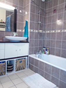 La salle de bains est pourvue d'un lavabo et d'une baignoire. dans l'établissement # Prix "Travellers Awards 2023 et 2024" LAC LEMAN Chambre habitant Velos Viarhôna Geneve Annecy, à Valleiry