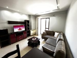 a living room with a couch and a flat screen tv at Grande Veranda 2 in Tirana