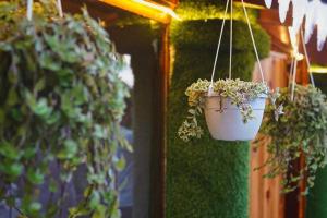 Fotografie z fotogalerie ubytování Family Retreat - The Forest Dak Bangalow v destinaci Rāmgarh + 26 fotografií