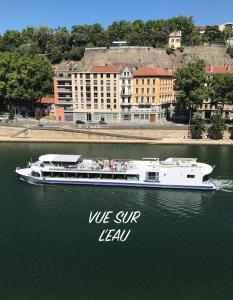 里昂Vue sur l'eau的一条白船在水里,上面的人在