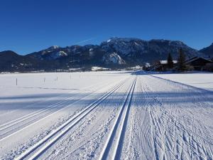 Landlust am See