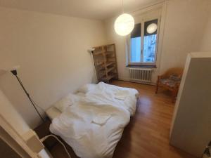 Voodi või voodid majutusasutuse Sonnegg Guest Rooms Inh M Bisegger toas