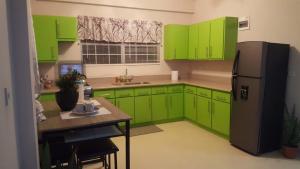 Kuchnia lub aneks kuchenny w obiekcie bLu skAii Apt 5minutes2 Rodney Bay by car