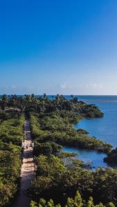 an island in the ocean with trees and water at Tatajuba Hostel Casa Pascual in Tatajuba