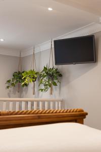 a tv hanging on a wall with two plants at House Arundel in Arundel