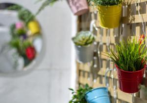 a group of potted plants on a wall at Corner Cottage in Brighton & Hove