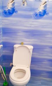 a bathroom with a white toilet in a blue wall at st anns holiday home negombo in Negombo