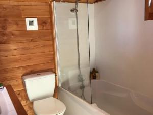 Un baño con inodoro blanco y ducha. en Chalet Savoyard 7 pers, au pied des pistes, terrasse Sud-Ouest, près des commerces, parking privé - FR-1-416-104, en La Toussuire
