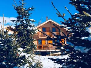 una cabaña de madera en la nieve con árboles en Chalet Savoyard 7 pers, au pied des pistes, terrasse Sud-Ouest, près des commerces, parking privé - FR-1-416-104, en La Toussuire 11 fotos más