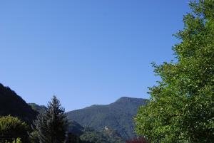 - une vue sur la montagne depuis deux arbres dans l'établissement Les Terrasses De Castelmerle, à Niaux