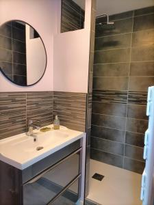 uma casa de banho com um lavatório e um chuveiro em LE BRON ACCUEIL - TOPDESTINATION-LYON em Bron