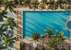 an overhead view of a swimming pool with palm trees at Amazing studio in Four Seasons Residences Brickell! in Miami