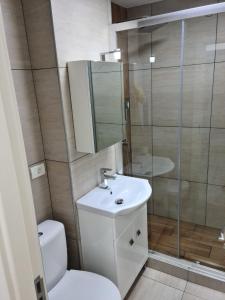 a bathroom with a toilet and a sink and a shower at Bucovina Cazare in Câmpulung Moldovenesc