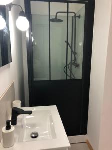 un bagno con lavandino e doccia con specchio di Le Cottage du Vieux Moulin a Ravilloles Altre 10 foto