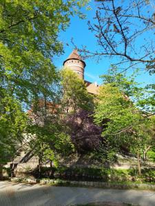 a tower on top of a building with trees at APARTAMENTY TR 11 Apartament nr 1 in Olsztyn