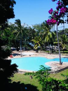 a blue swimming pool with palm trees in the background at Tiwi Tatu in Tiwi