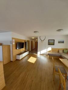 a large living room with a couch and a tv at Großzügiges Apartment Georg Mayrhofen Barrierefrei in Hollenzen