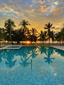 a large swimming pool with palm trees in the background at Beach front and golf paradise. Playa Nueva Romana in San Pedro de Macorís