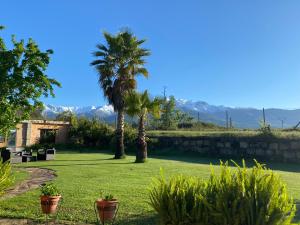 a garden with two palm trees and mountains in the background at La Casa De Marta in Madrigal de la Vera