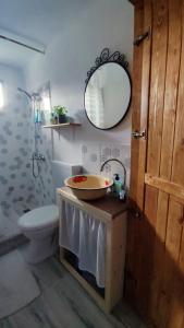 a bathroom with a sink and a toilet and a mirror at La Casuta in Fieni