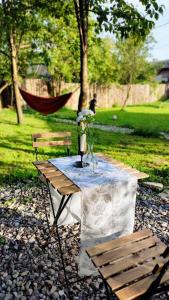 una mesa de picnic con 2 sillas y una hamaca en un parque en La Casuta en Fieni