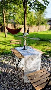 a picnic table with two chairs and a hammock in a park at La Casuta in Fieni
