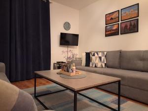弗拉西克的住宿－Vlasicka avantura Eko Fis 509，带沙发和咖啡桌的客厅