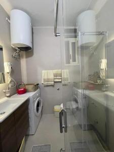 a bathroom with a shower and a washing machine at Zeko Apartment in Golem