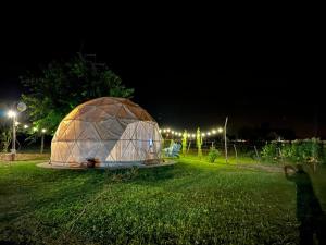 卡布拉科拉尔Glamping Salta的夜晚在田野中间的冰屋