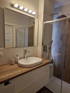 a bathroom with a sink and a shower at Apartament na Letniej z garażem "Domowe Zacisze" in Kłodzko +32 photos