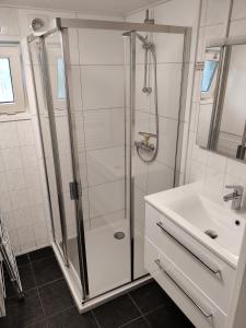 uma casa de banho com um chuveiro e um lavatório. em Huisje Weltevree met hottub em Beekbergen