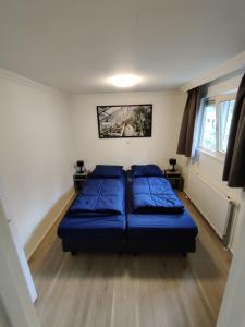 1 dormitorio con 1 cama con almohadas azules en Huisje Weltevree met hottub en Beekbergen