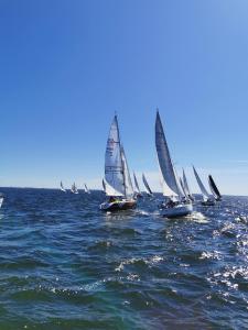 a group of sailboats in the ocean on the water at Chic&Chic in Szczecin