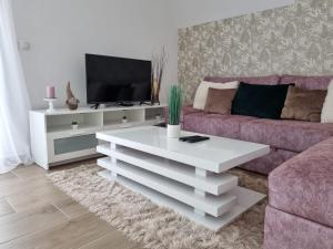 TV i/ili multimedijalni sistem u objektu Apartmani Ćirić Divčibare