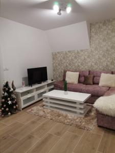 Uma televisão e/ou sistema de entretenimento em Apartmani Ćirić Divčibare