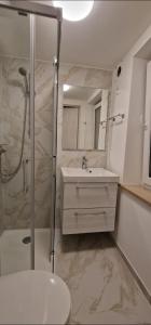 a bathroom with a sink and a shower at V&V in Santo Stéfano Udinese