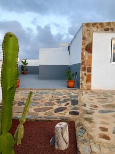 a cactus and a building with a cactus at Mar y Montaña Apartamento entero in La Costa